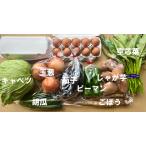 クール便で発送・九州佐賀の農家直送野菜セット・お野菜8品＋こだわりのたまご20個