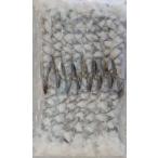 13-15 хвост имеется ... море .banamei15 хвост x40P(P880 иен без налогов ) рефрижератор для бизнеса yayoi