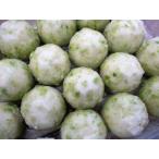 .. предмет ветка бобы .. голова 18 шт ×16p(p1040 иен без налогов ) для бизнеса yayoi