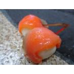  передний . salmon декоративная шпилька 20 шт ×20P(P1200 иен без налогов ) для бизнеса yayoi гора удача тест 100 .