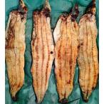 国産（愛知県三河産）有頭うなぎ白焼き　30尾　尾2050円税別　5Pサイズ　ジャポニカ種　業務用　ヤヨイ　下記に3.5P又は4Pサイズの価格も記載中