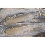 国産冷凍あゆ1kg×10P（P3