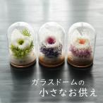 仏花 プリザーブドフラワー  お供え 【ガラスドームの小さなお供え】ドーム お悔み お花 仏壇 枯れない 花 一周忌 四十九日 喪中見舞い お盆 新盆 初盆 ペット