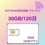 プリペイドSIMカード 30GB 120日 国内データ通信専用  ソフトバング回線（softbank 回線） LTE【送料無料】