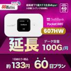 延長用 Softbank LTE【レンタル】 Pocket WiFi LTE 607HW 1日当レンタル料 133円【レンタル 60日プラン】 ソフトバンク WiFi レンタル WiFi 【emobile】