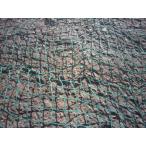 c2A[ камень 050206-1] безопасность сеть 4.5mX11.5mami глаз 20m/mX20m/m