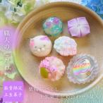 【梅雨を愉しむ】紫陽花づくし上生菓子6個入り 全国一律送料込 かわいい 父の日 誕生日 贈答 ギフト 和菓子 練り切り 贈り物