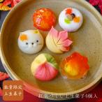 紅葉づくし上生菓子6個入 送料無料 