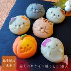 猫とハロウィンの上生菓子6個入 送