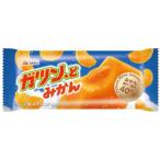 アイス 赤城 ガツン、とみかん 90ml×24本 熱中症対策 ギフト 誕生日プレゼント デザート イベント 夏祭り