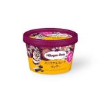 ハーゲンダッツ ミニカップ バニラチョコレートサンデー 期間限定 110ml×6個 新商品 アイス人気ランキング上位 誕生日 ギフト