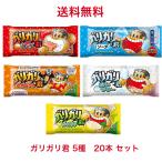 アイス 母の日ギフト お中元 赤城 ガリガリ君 アソートセット 20本 熱中症対策 人気 ランキング 夏休み 差し入れ かき氷 氷菓 合宿 プレゼント