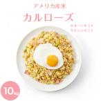 ショッピング米 10kg 送料無料 【在庫処分 数量限定】 2024年産 アメリカ・カリフォルニア産 カルローズ米 10kg（5kg×2袋） 精米 お米 米 送料無料※北海道・沖縄の方は別途送料加算