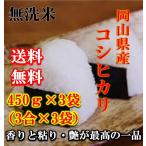 新米 無洗米 ポイント消化 送料無料 1000 食品 米 お試し 令和2年産 岡山県産コシヒカリ無洗米450ｇ(3合)×3袋 こしひかり メール便 代金引換不可