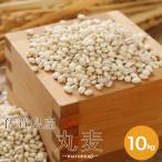 佐賀県産 丸麦 (大麦) 10kg 【5kg×2袋】 α化処理 雑穀米 食品 健康 美容 国産 送料無料 ※北海道・沖縄の方は別途送料加算