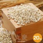佐賀県産 丸麦 (大麦) 20kg 【5kg×4袋】 α化処理 雑穀米 食品 健康 美容 国産 送料無料 ※北海道・沖縄の方は別途送料加算