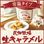 【花畑牧場】 生キャラメル 常温タイプ プレーン 64g バレンタイン