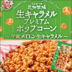 花畑牧場 プレミアムポップコーン 夕張メロン 北海道お土産 ギフト お金謎解きミステリーで紹介!