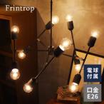 インターフォルム ペンダントライト フリントロップ 10灯 天井照明 可動型 ブラック E26 白熱球付属 interform Frintrop LT-3051 取り寄せ商品