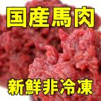 会津産馬肉ミンチ＆ブツ切り 1kg (500