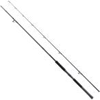 (SHIMANO/ Shimano ) 25 SALTY ADVANCE SHORE JIGGING S96M (274755) shore jigging 