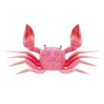 【NAKAZIMA/ナカジマ】カニベイトピンク Mサイズ 1639 016390 NPK1639 タコ用品 仕掛