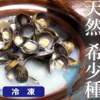 ( натуральный Biwa-ko производство корбикула ) рефрижератор 1kg редкий seta корбикула песок вытащенный завершено рефрижератор ... стоимость . поставщик Shiga .... прямая поставка от производителя 