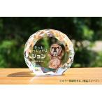  мемориальная табличка домашнее животное memorial crystal b Lilian cut круглый UV цвет печать стекло. мемориальная табличка домашнее животное сувенир стекло. мемориальная табличка 