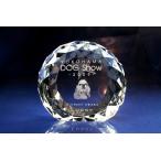  мемориальная табличка домашнее животное memorial crystal круглый b Lilian cut Laser обработка модель стекло. мемориальная табличка домашнее животное сувенир 