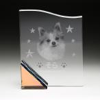  мемориальная табличка домашнее животное memorial сувенир стекло. мемориальная табличка crystal 2D Laser скульптура KP20