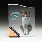  мемориальная табличка домашнее животное memorial сувенир стекло. мемориальная табличка crystal Full color печать KP20U