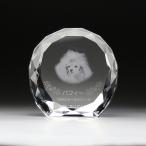  мемориальная табличка домашнее животное memorial сувенир crystal мемориальная табличка сувенир KP-7 Laser скульптура стекло. мемориальная табличка домашнее животное сувенир стекло. мемориальная табличка 