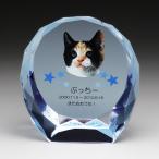  мемориальная табличка домашнее животное memorial crystal Full color печать KP7U домашнее животное memorial сувенир стекло. мемориальная табличка 