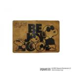 PEANUTS Snoopy F кожа JC паспорт покрытие Brown почтовая доставка соответствует товар 