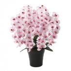  искусство klieishon свет. приятный . искусственный цветок premium . бабочка орхидея 7шт.@.P 656A250 наложенный платеж не возможно 
