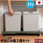 ゴミ箱 35L 2個 日本製 JAPAN フタ付き キッチン 分別 スリム 分別ごみ箱 35リットル リサイクル リサイクルボックス ダストボックス