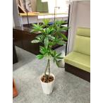 * outlet *uchida человеческий труд растения 6-401-0103