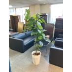 * outlet *uchida человеческий труд растения 6-401-0102