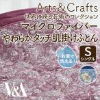 V&amp;A 肌布団 毛布 マイクロファイバー ふわふわ あったか 洗える ロマンス小杉