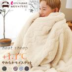 毛布 2枚合わせ 厚手 ダブル リバーシブル ロマンス小杉 ブランケット あったか 暖かい 合わせ毛布 暖かい毛布 あったか毛布 おしゃれ