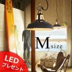 フィッシャーマンズペンダントMサイズ  Fisherman's-pendant　アートワークスタジオ　ART WORK STUDIO　LEDクリア電球プレゼント