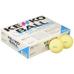 nagase Kenko (KENKO) soft теннис мяч стандартный желтый 1 дюжина (12 шт ) TSSY-V