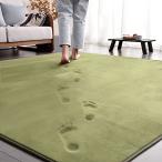 ラグ カーペット 2畳 低反発 ラグマット 185x185cm 厚手15mm 防音 滑り止め付 洗える 床暖房 ホットカーペット対応 防ダニ 抗