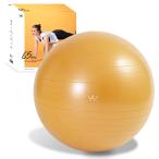アルインコ(ALINCO) バランスボール 直径65cm コンパクト 椅子 スツール 軽量 空気入れ付き 運動マニュアル付き ストレッチ フィッ