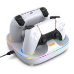 . мир 6 год зима появление PS5 контроллер зарядка подставка Blitzowl PlayStation 5 контроллер для зарядка подставка ps5 подставка ps5.
