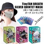 TinyTAN BREATH SILVER QUINTET マスク MetalGray ZenBlack SnowWhite 14枚入り ポーチ ストラップ付 公式 BTS 防弾少年団 MAGIC DOOR
