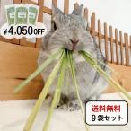 オーツヘイ うさぎさんの頬張る緑の乾燥オーツヘイ ストレート 70g×9袋 国産 無農薬 無添加 うさぎ 牧草 うさぎハート うさぎのおやつ Usagi Heart