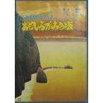 *** пятна . гид карта интересный ... версия сезон . журнал * Shimizu 25 номер (1992 год 12 месяц 1 день номер )