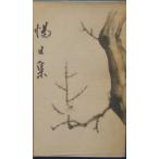 ***= день сборник . река Hira Хара . сборник ( Shizuoka префектура Fuji город )