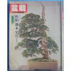 ** бонсай сосна Kashiwa *. дерево * Rhododendron indicum выбор .... японский название . ежемесячный новое время бонсай отдельный выпуск новое время бонсай фирма 